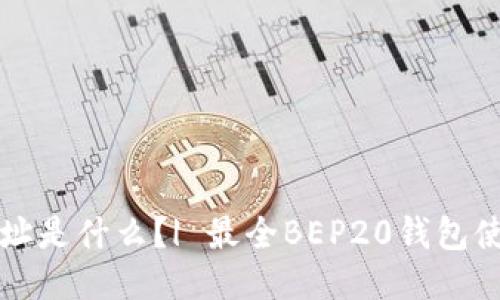 BEP20钱包地址是什么?| 最全BEP20钱包使用及交易指南