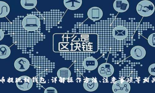 虚拟币提现到钱包:详解操作方法、注意事项等相关问题