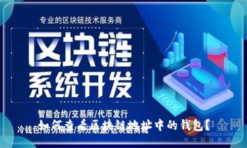 如何查看区块链地址中的钱包?