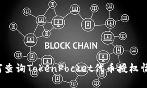 如何查询TokenPocket代币授权情况？