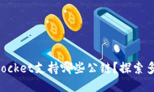 TokenPocket支持哪些公链?探索多链生态