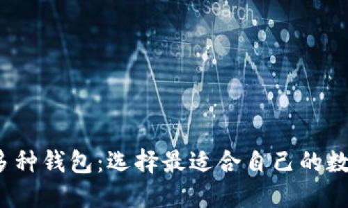 区块链多种钱包:选择最适合自己的数字钱包