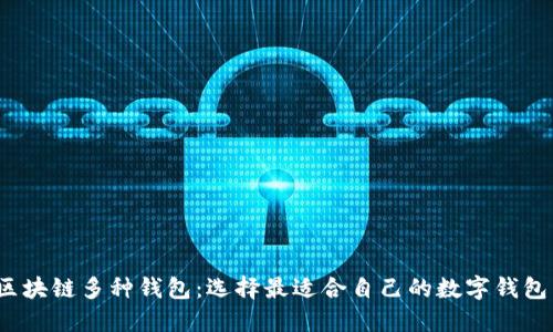 区块链多种钱包:选择最适合自己的数字钱包