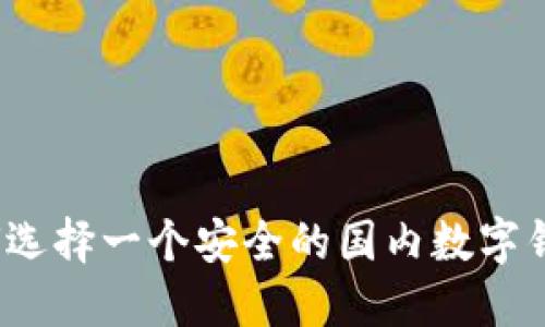 如何选择一个安全的国内数字钱包?
