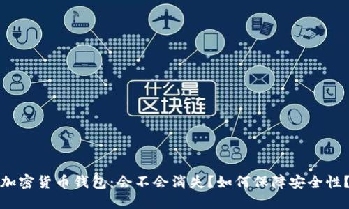 加密货币钱包:会不会消失?如何保障安全性?