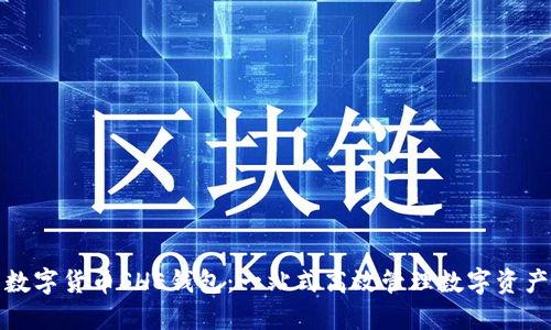 数字货币SHE钱包:一站式高效管理数字资产