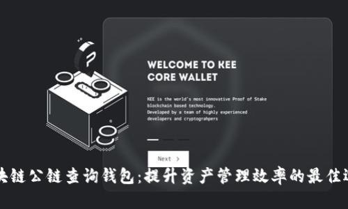 区块链公链查询钱包:提升资产管理效率的最佳选择