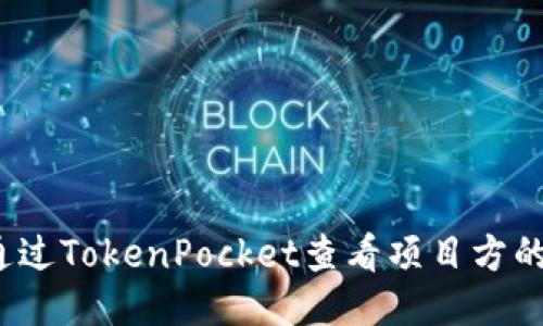 如何通过TokenPocket查看项目方的信息?