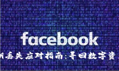 tpWallet私钥丢失应对指南：寻回数字资产的最佳实践