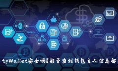 : tpWallet安全吗？能否查到
