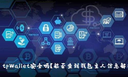 : tpWallet安全吗？能否查到钱包主人信息解析