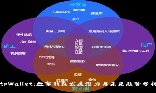 tpWallet：数字钱包发展潜力与未来趋势分析