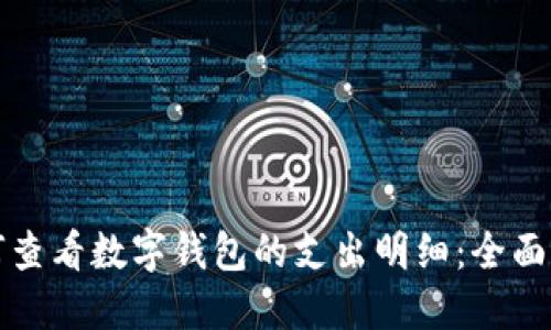如何查看数字钱包的支出明细：全面指南