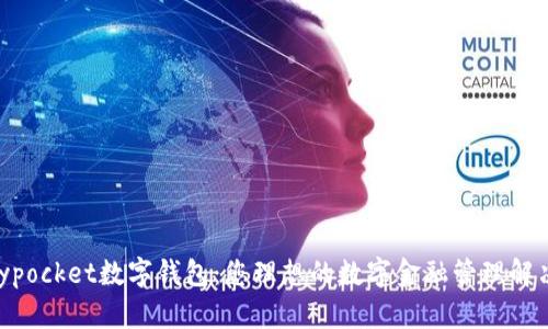 Candypocket数字钱包：您理想的数字金融管理解决方案