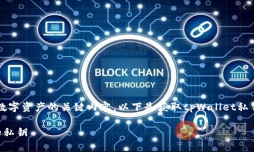 在tpWallet中，私钥是用户管理其数字资产的关键内容。以下是获取tpWallet私钥的步骤以及一些相关问题的解答。

如何安全获取和管理tpWallet中的私钥