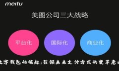 数字钱包的崛起：引领未