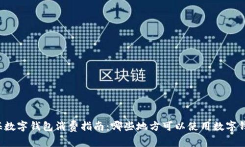 上海数字钱包消费指南：哪些地方可以使用数字钱包?