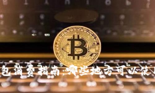 上海数字钱包消费指南：哪些地方可以使用数字钱包?