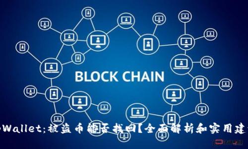 tpWallet：被盗币能否找回？全面解析和实用建议