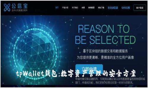  tpWallet钱包：数字资产管理的安全方案