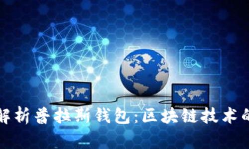 全面解析普拉斯钱包：区块链技术的未来