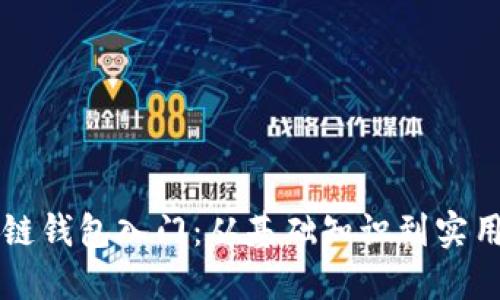 区块链钱包入门：从基础知识到实用技巧