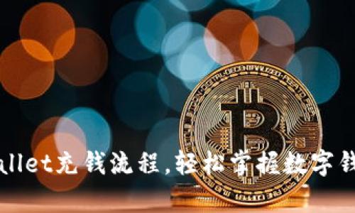 全面解析tpWallet充钱流程，轻松掌握数字钱包的充值技巧