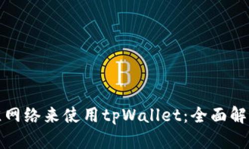 选择最佳网络来使用tpWallet：全面解析与推荐
