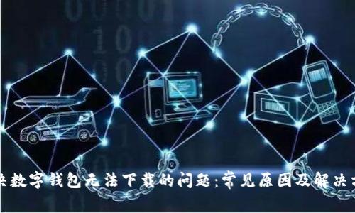 解决数字钱包无法下载的问题：常见原因及解决方案