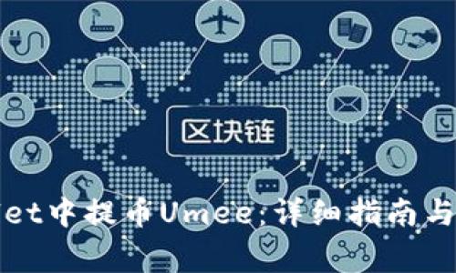 如何在tpWallet中提币Umee：详细指南与常见问题解答