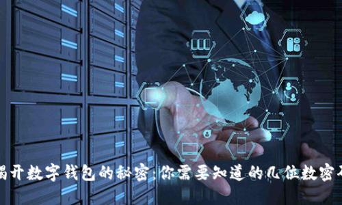 揭开数字钱包的秘密：你需要知道的几位数密码