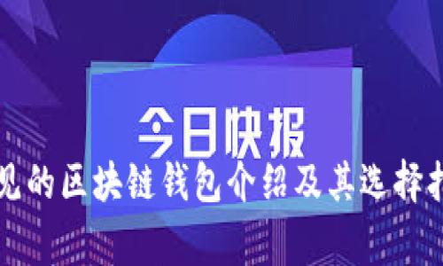 常见的区块链钱包介绍及其选择指南
