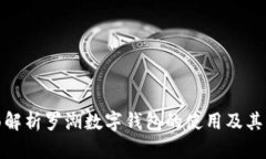 全面解析罗湖数字钱包的