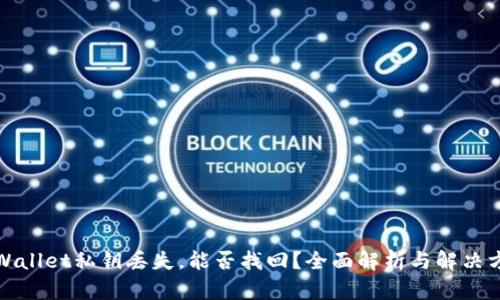 tpWallet私钥丢失，能否找回？全面解析与解决方案