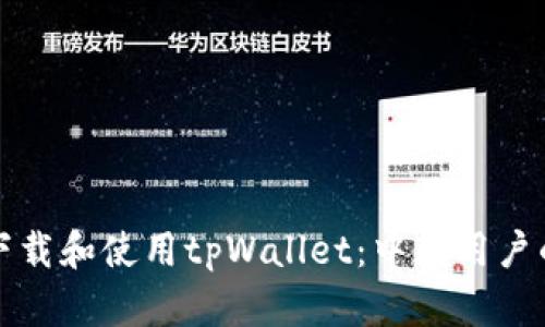 如何安全下载和使用tpWallet：中国用户的全面指南