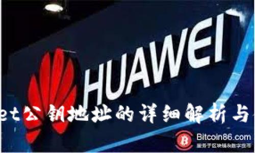  tpWallet公钥地址的详细解析与使用指南
