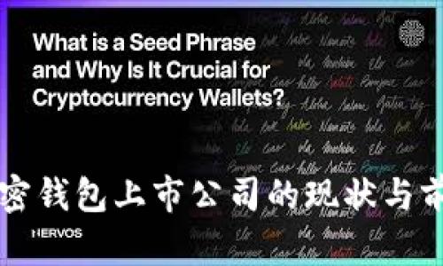 中国加密钱包上市公司的现状与前景分析