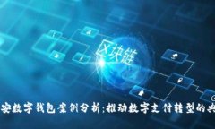 南安数字钱包案例分析：