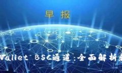 ### tpWallet BSC通道：全面解
