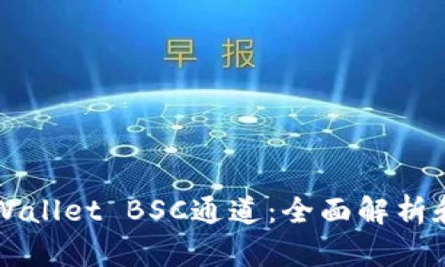 ### tpWallet BSC通道：全面解析和使用指南