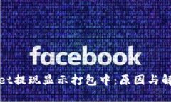 tpWallet提现显示打包中：原