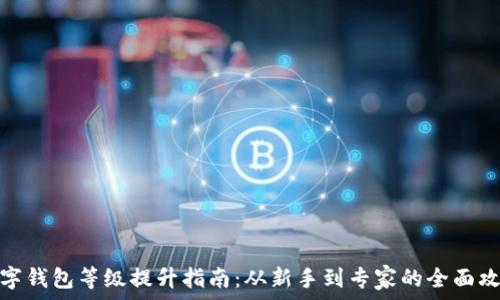   
数字钱包等级提升指南：从新手到专家的全面攻略
