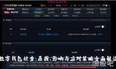 数字钱包被查：原因、影