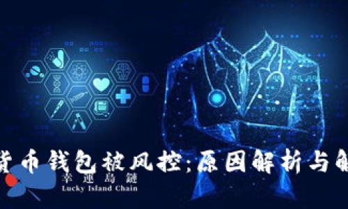 : 数字货币钱包被风控：原因解析与解决方案