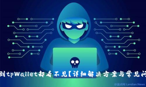 : 提币到tpWallet却看不见？详细解决方案与常见问题解析