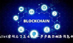 tpWallet密码忘了怎么办？一