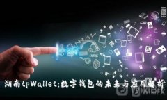湖南tpWallet：数字钱包的未