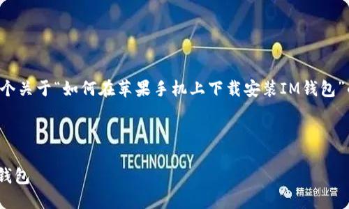 在这种情况下，我将为您创作一个关于“如何在苹果手机上下载安装IM钱包”的内容，包含相关的元素和问题。



如何在苹果手机上下载安装IM钱包
