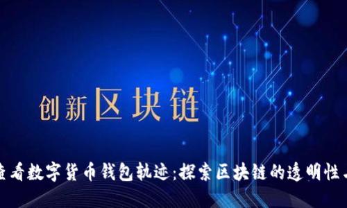如何查看数字货币钱包轨迹：探索区块链的透明性与隐私