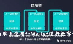 如何在电脑上使用tpWalle